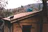 roofcat1.jpg